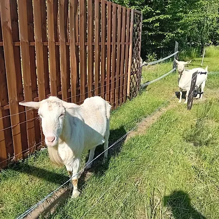 Holiday home Swiety Spokoj