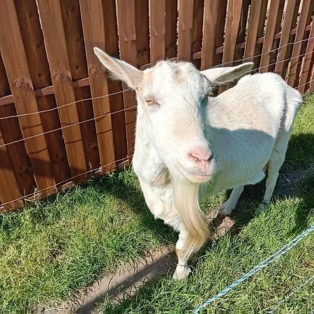 Swiety Spokoj Holiday home Piotrowice (Slupca)