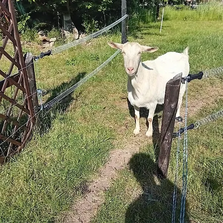 Swiety Spokoj Piotrowice (Slupca)