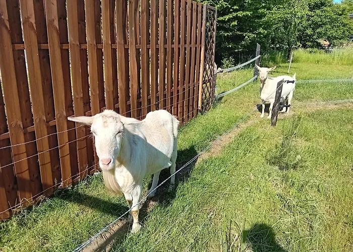 度假居 Swiety Spokoj