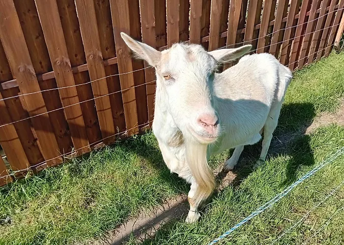 Swiety Spokoj 度假居 Piotrowice (Slupca)