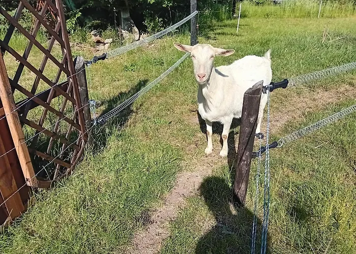 Swiety Spokoj Piotrowice (Slupca)